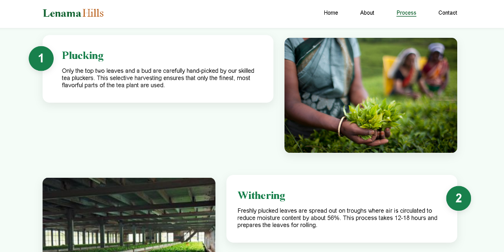 Tea Production Process